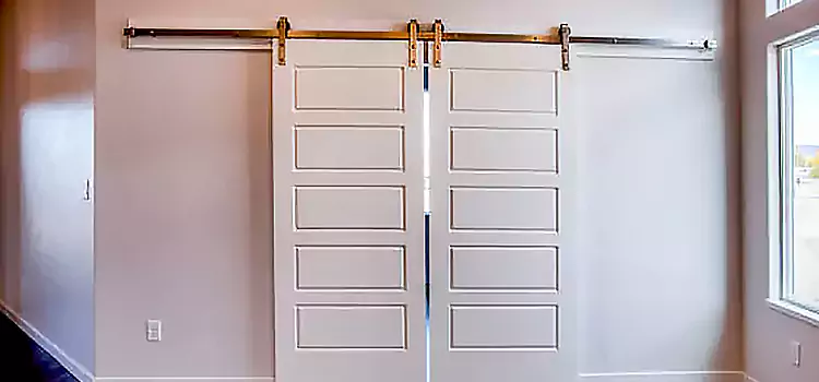 Glass Barn Door with Installation Hardware Kit Spartanburg