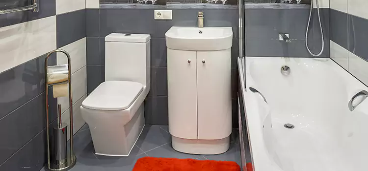 Hansgrohe Shaving Mirror Spartanburg