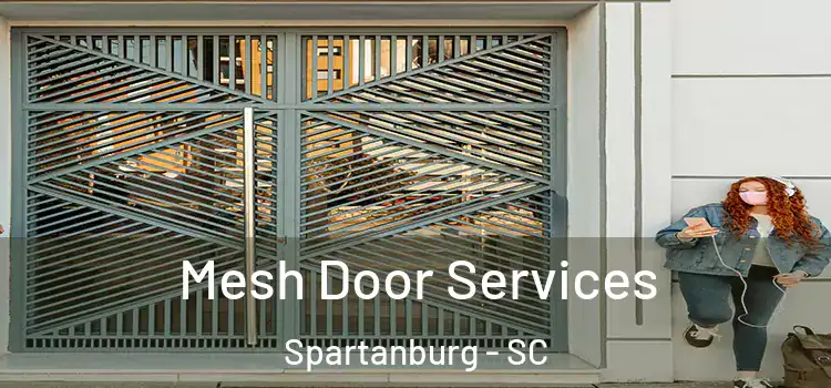Mesh Door Services Spartanburg - SC